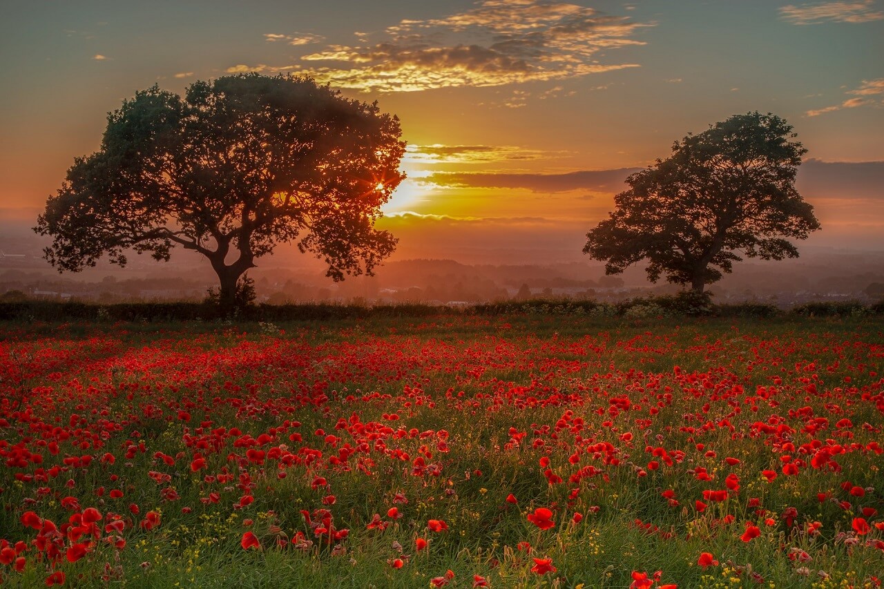 La liste de valeurs humaines Tant qu’il y aura des couchers de soleil