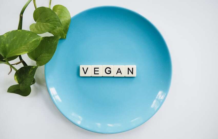 changer-assiette-que-mange-un-vegan