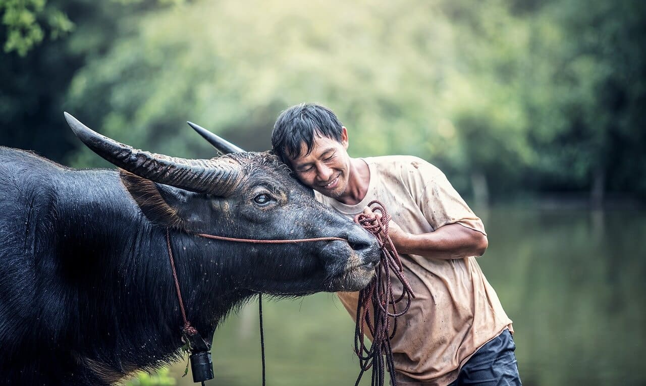 Homme et animal dans la grande famille de l'humanité