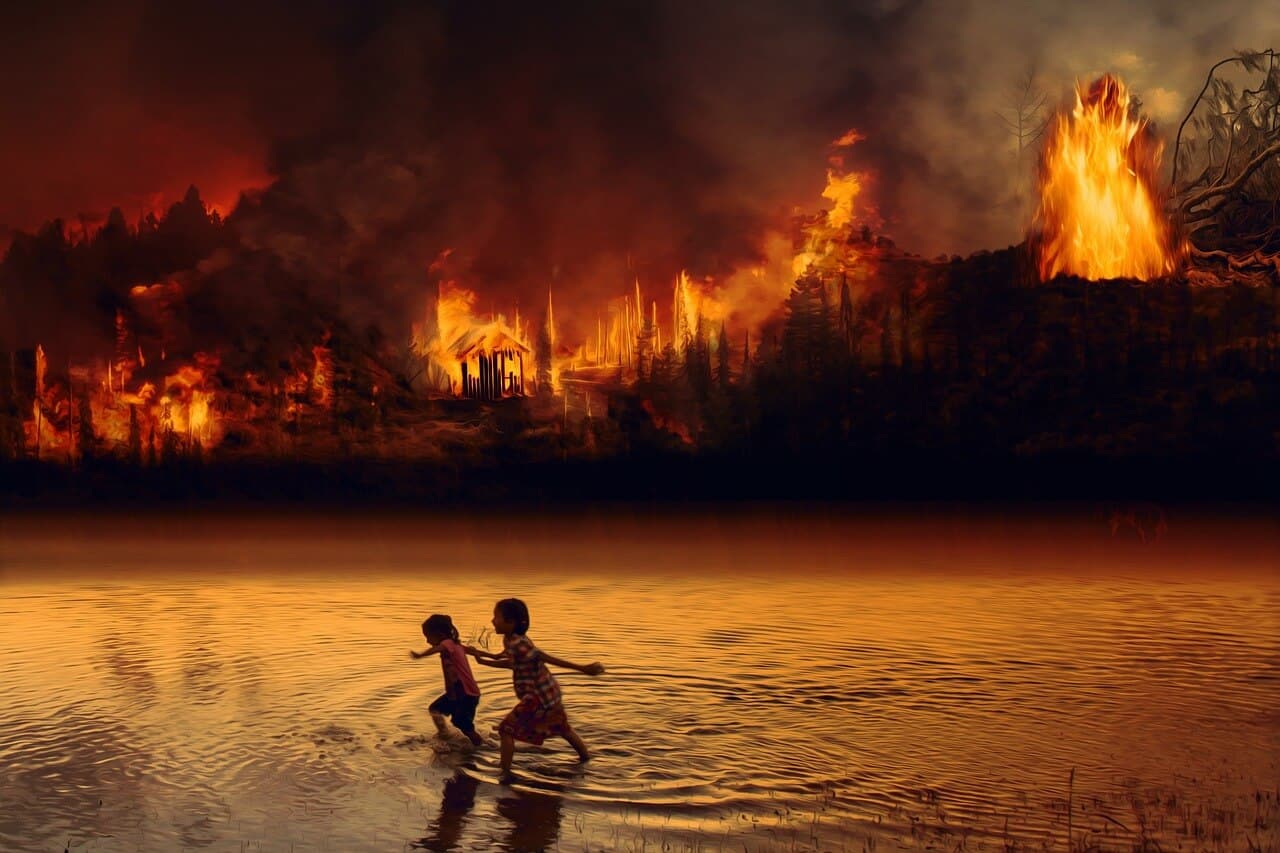 Est-ce bientôt la fin du monde au seuil de la 3ème guerre mondiale, destruction des forêts